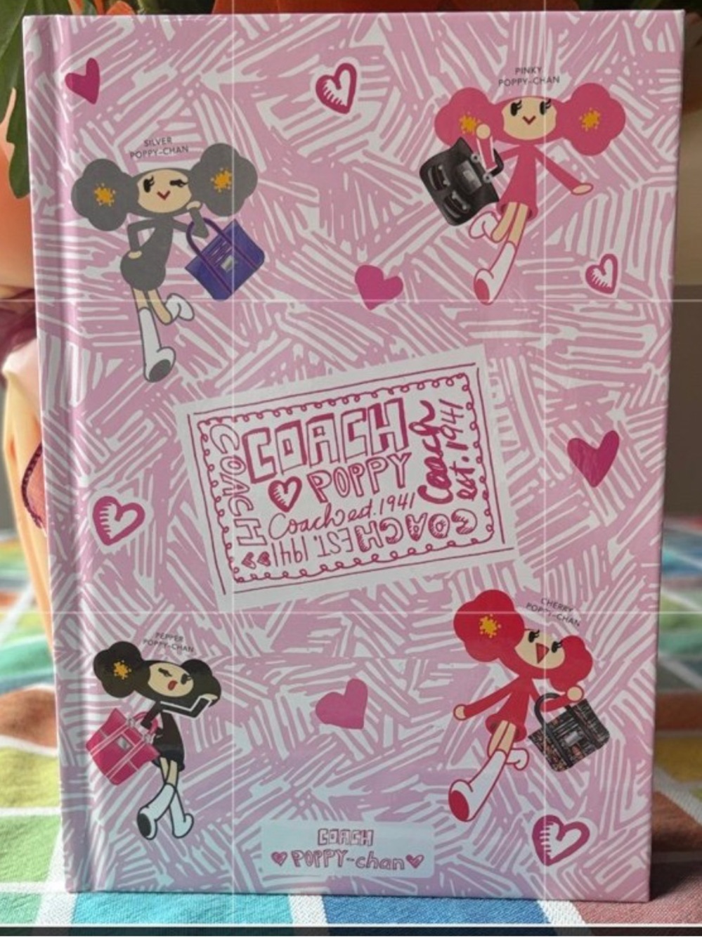 🩷 COACH POPPY CHAN DOLL HARDCOVER NOTEBOOK 🩷 NWT 🩷